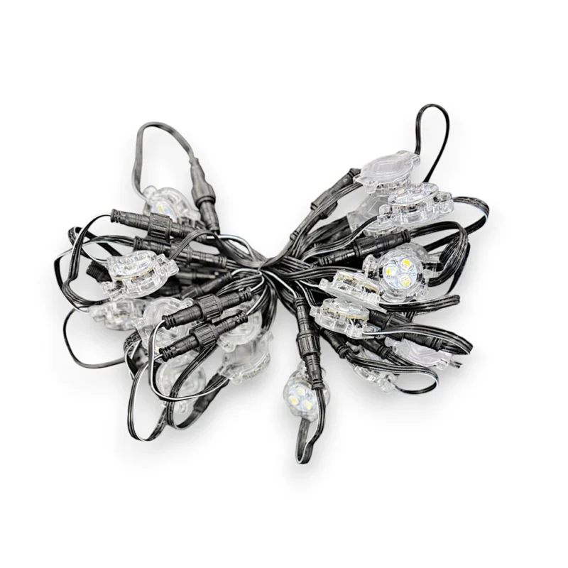 24V InvisiLights LED Lights